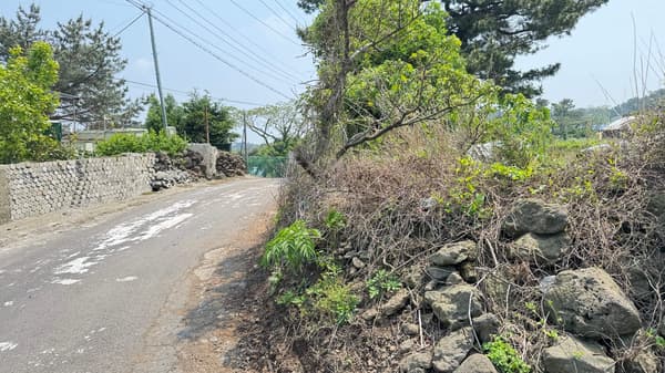 150,000 won by m2, 15,230m2 + ② + ③, Forest Land photo 2