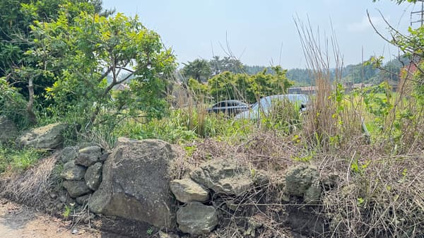 150,000 won by m2, 15,230m2 + ② + ③, Forest Land photo 5