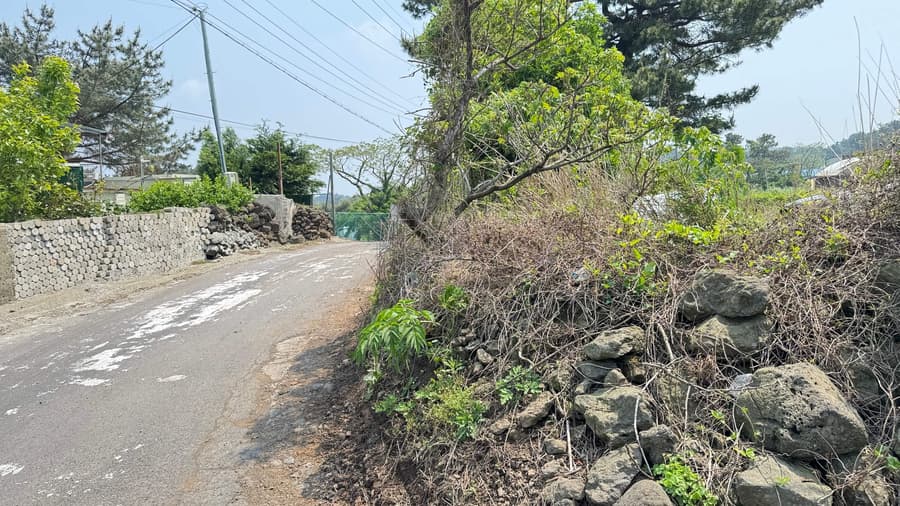 150,000 won by m2, 15,230m2 + ② + ③, Forest Land 2